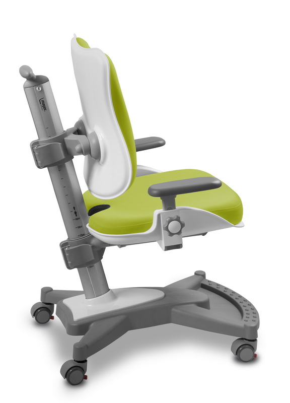 Dětská rostoucí židle Mayer myChamp 2431 30 463