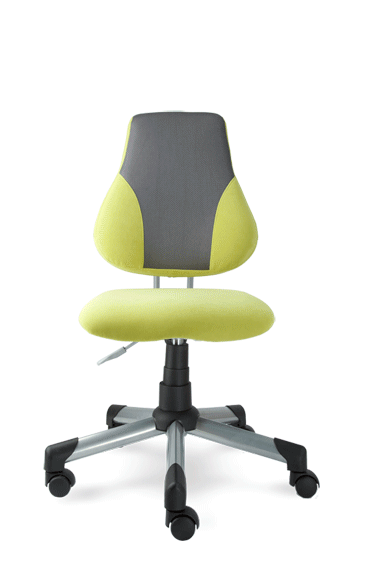 Dětská rostoucí židle Mayer Actikid 2428 A2 26 091