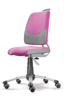 Dětská rostoucí židle Mayer Actikid 2428 A3 59